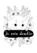 Je suis désolée, avec un chat mignon